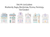 Lenox Spice Village Set 2025, 2nd Generation, Choose your 6 piece set, New